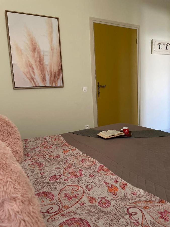 Camere Infinity Rooms Castelfidardo Eksteriør billede